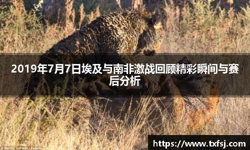 xk体育